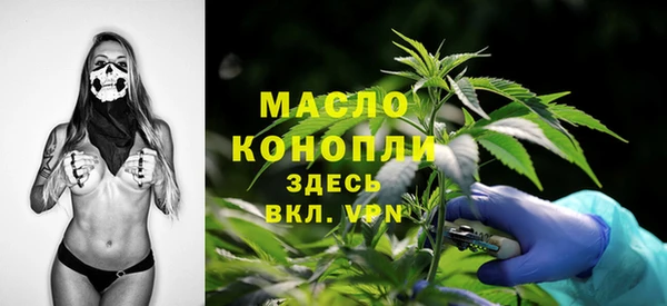 сатива Козельск