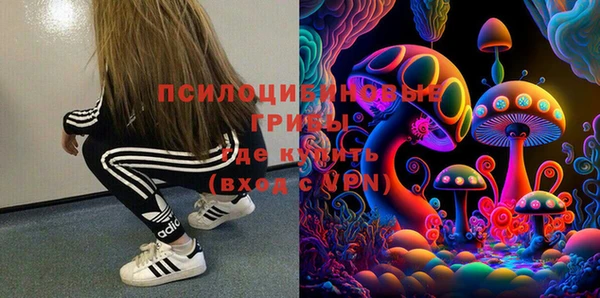 МДПВ Козловка