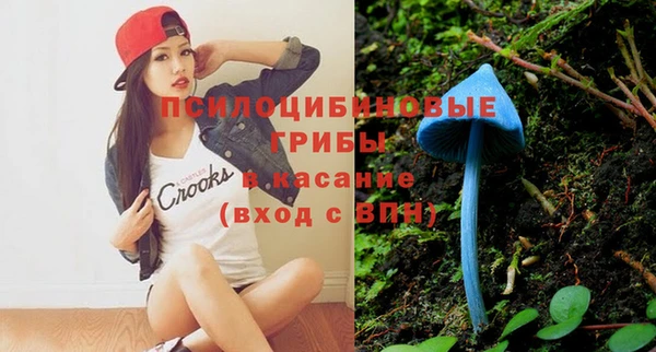 хмурый Кодинск