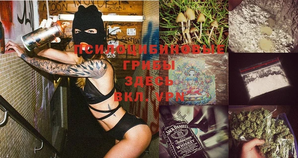 МДПВ Козловка