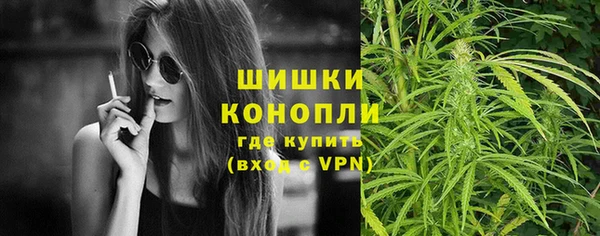 хмурый Кодинск