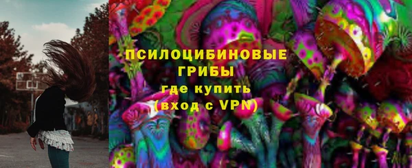 сатива Козельск