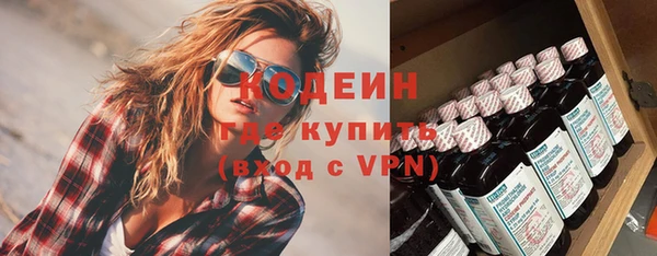 сатива Козельск