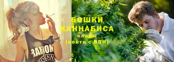 сатива Козельск