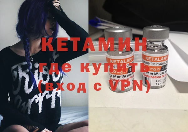 сатива Козельск