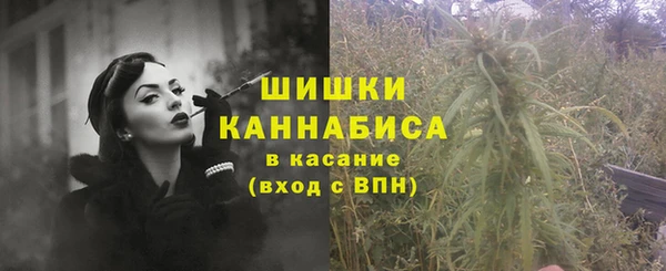 хмурый Кодинск