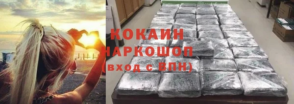 сатива Козельск