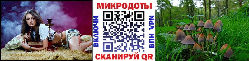 Псилоцибиновые грибы Magic Shrooms  Купить закладки  Новотитаровская 